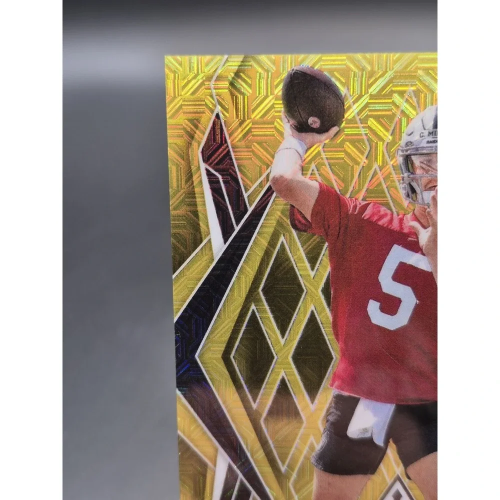 Panini 2025 phoenix